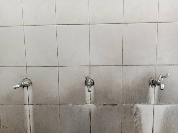 Reliable Blakely, GA Water damage restoration Solutions