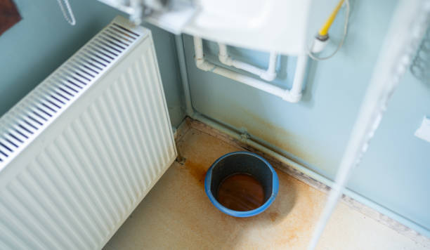 Best Water damage restoration services  in Blakely, GA
